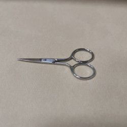 Silver scissors